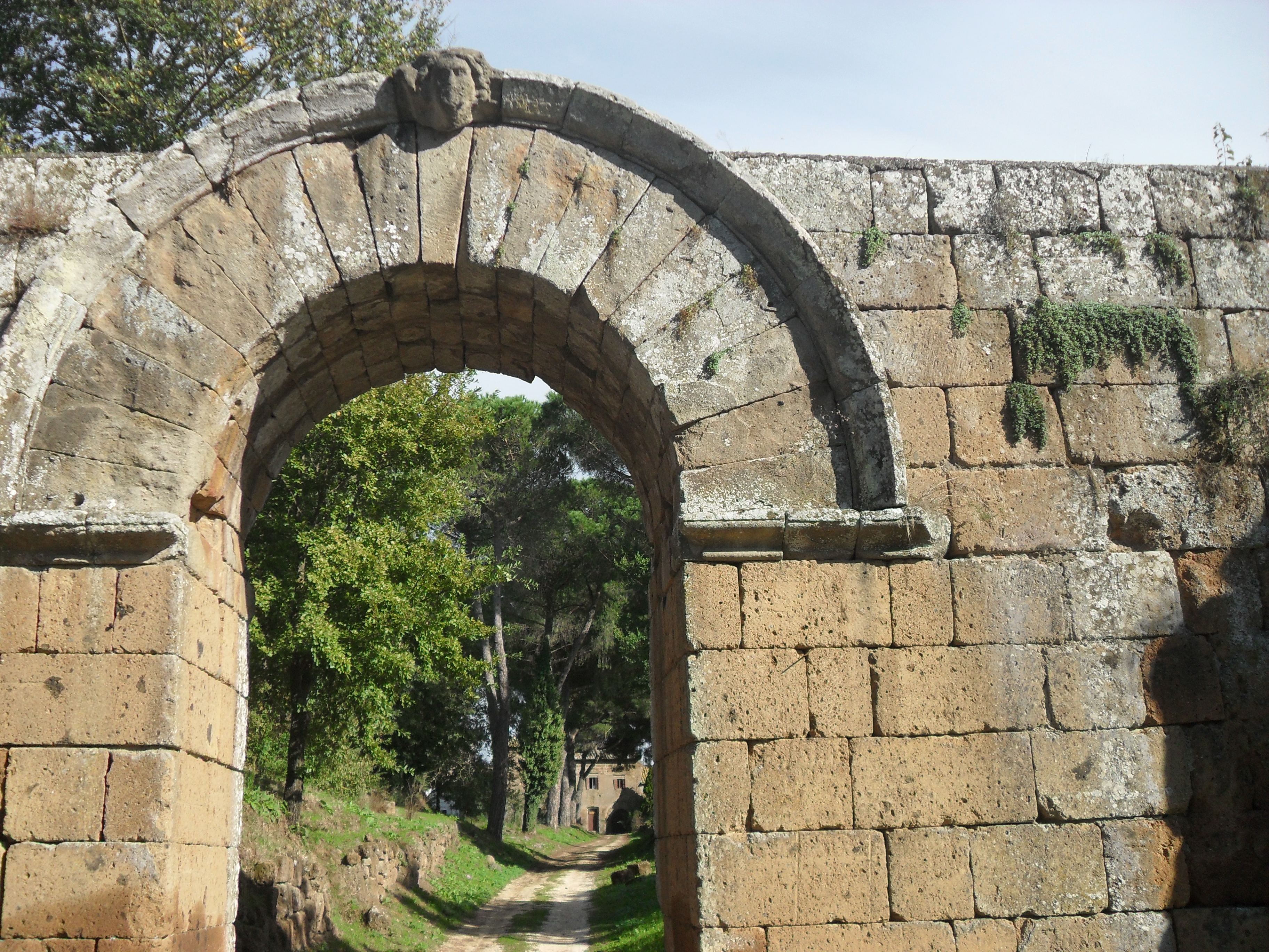 Faleri Novi porta di Giove